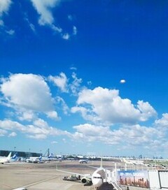 2025103101.jpgのｻﾑﾈｰﾙ画像