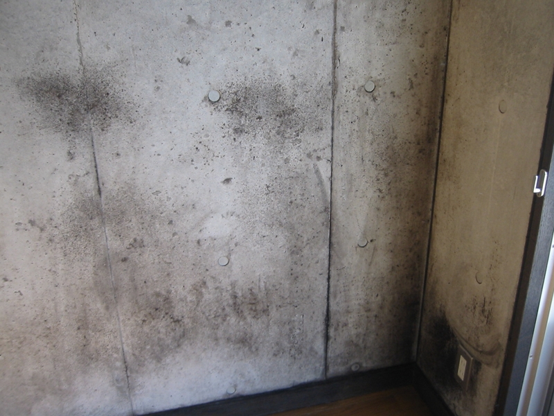東京都大田区 賃貸マンションのセメント壁バイオクリーニングとカビ除去 抑止 施工実績 クロスのカビやヤニ取りなどの掃除や除去 洗浄なら創研へ