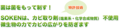 kabi_toptitle_01.jpg
