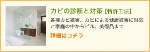 カビの診断と対策